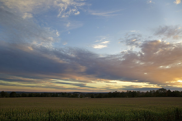 Grounds8